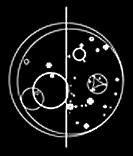 Home in Gallifreyan